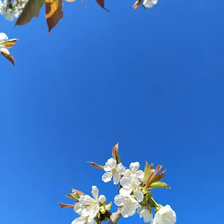 Au Bord De L'helpe *